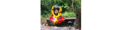 ரிஷிவந்தியம்